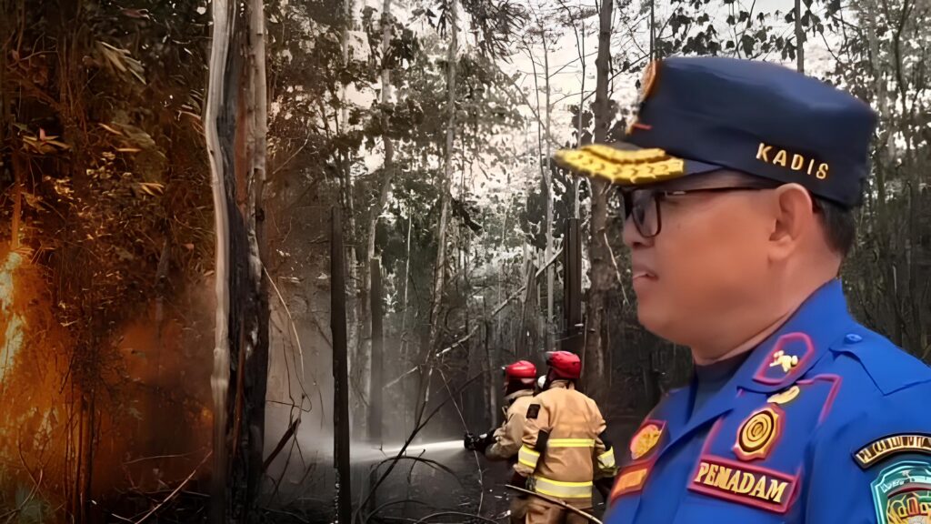 Petugas Damkar Luwu Timur saat menangani karhutla di Malili, Towuti, dan Wasuponda