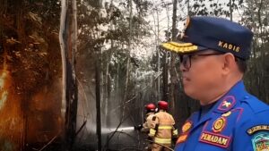 Petugas Damkar Luwu Timur saat menangani karhutla di Malili, Towuti, dan Wasuponda