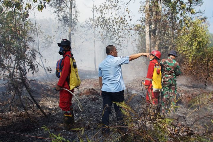 Petugas gabungan berupaya memadamkan kebakaran lahan di Malili Luwu Timur, isu viral luwu timur hari ini