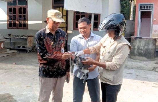 Petugas vaksinator memberi vaksin rabies kepada anjing dan kucing warga, Luwu Timur