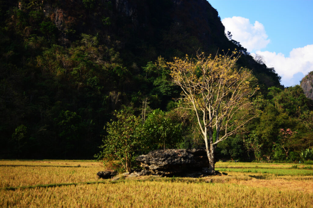 Kawasan desa dan lahan warga di Sulawesi Selatan, gambaran wilayah kerja dan kebutuhan berita Luwu Timur