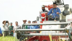 Luwu Timur menyoroti panen perdana program Oplah di Desa Rante Damai Luwu dengan hasil 8,9 ton padi per hektare