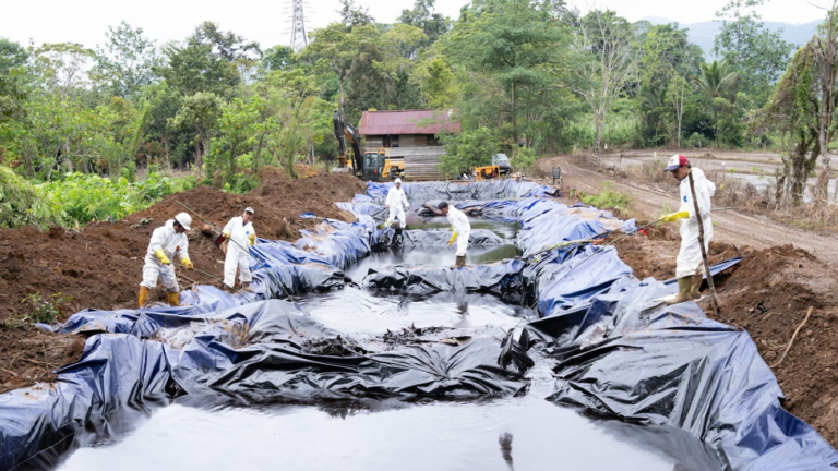 Lahan pertanian warga di Kecamatan Towuti, Luwu Timur, yang terdampak kebocoran pipa dan kini kembali ditanami