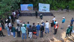 Penanaman mangrove di Mangkasa Point, Desa Harapan, Kecamatan Malili, Luwu Timur