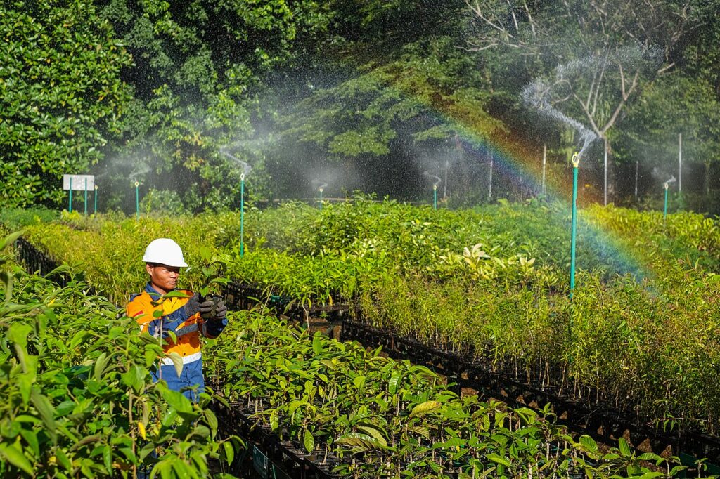 Area pembibitan tanaman di kawasan tambang nikel Sorowako, gambaran industri tambang luwu timur yang berkelanjutan