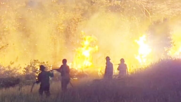 Petugas memadamkan kebakaran lahan di Luwu Timur pada musim kemarau