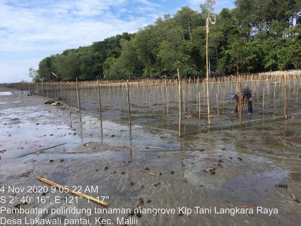 Hutan mangrove di Desa Wisata Langkara, Lakawali Pantai, Malili, Luwu Timur