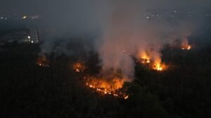 Asap kebakaran hutan dan lahan menyelimuti kawasan di Kalimantan.