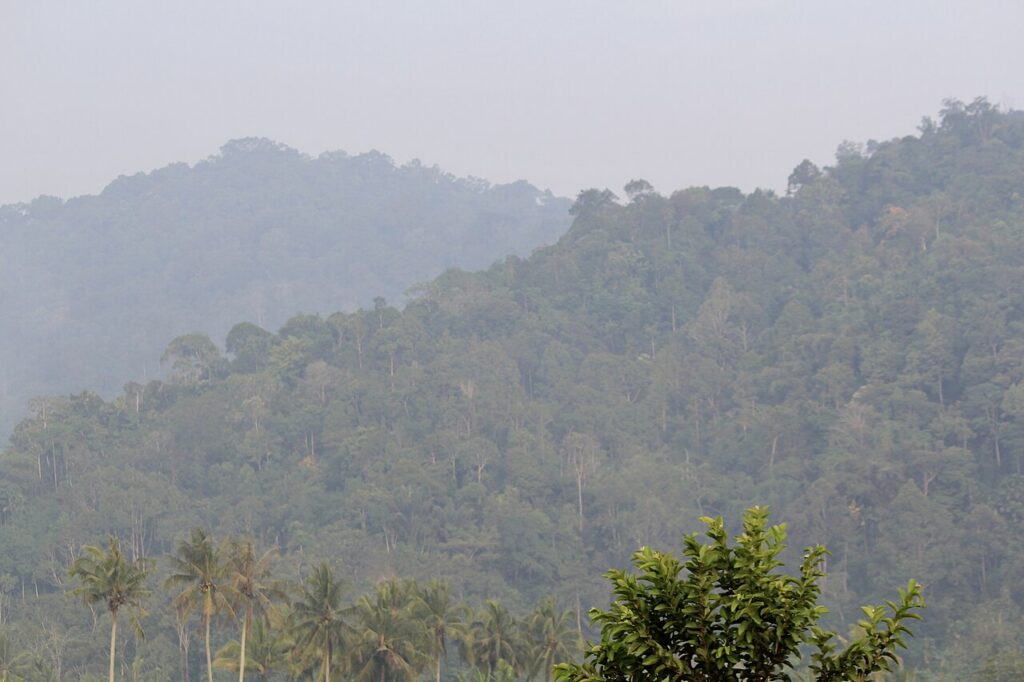 Kabut asap menyelimuti kawasan permukiman di Tanah Datar, Sumatera Barat