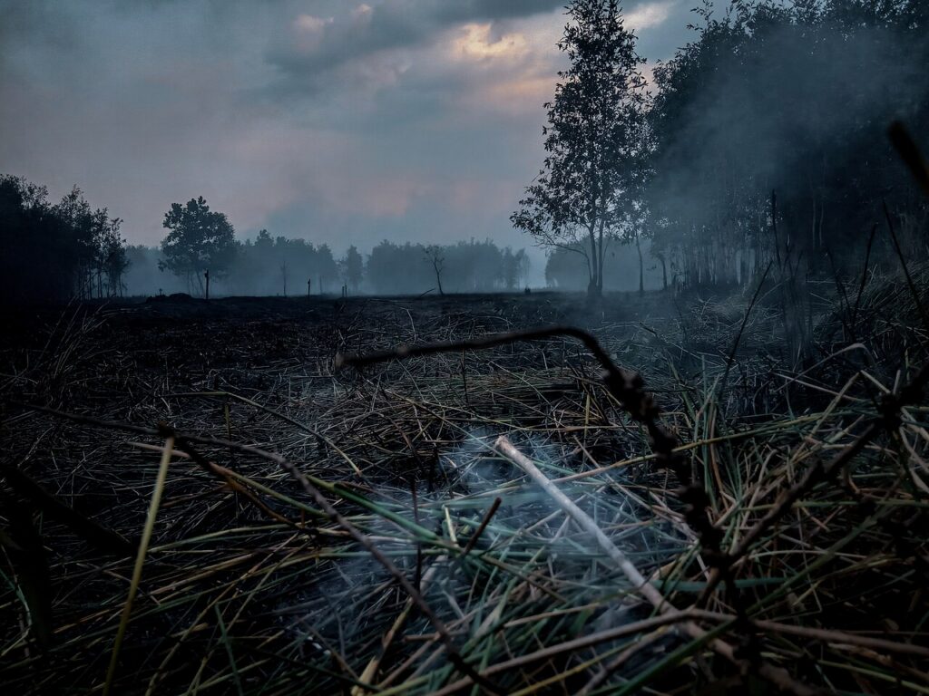 Kebakaran lahan gambut dengan asap tebal di Indonesia