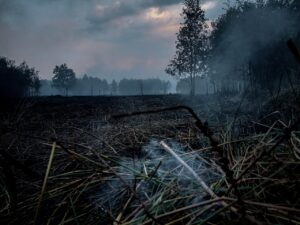 Kebakaran lahan gambut dengan asap tebal di Indonesia