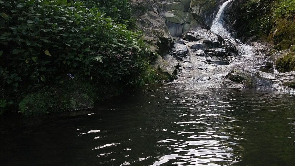 Ilustrasi aliran sungai di Bogor, Jawa Barat