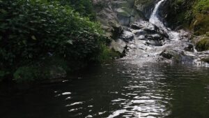 Ilustrasi aliran sungai di Bogor, Jawa Barat