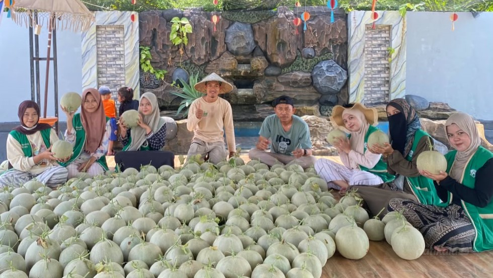 Mahasiswa KKN UIN Palopo bersama warga mempromosikan potensi melon dan semangka Desa Wanasari, Luwu Timur