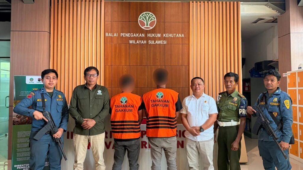 Petugas penegakan hukum kehutanan saat menangani kasus perambahan hutan lindung di Luwu Timur