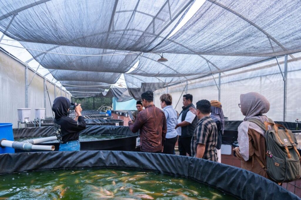 Pelaksanaan uji laboratorium sampel padi dari area demplot terdampak tumpahan minyak di Towuti, Luwu Timur