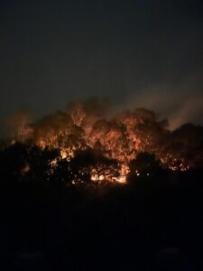 Lahan dan vegetasi yang terbakar dalam peristiwa kebakaran hutan dan lahan