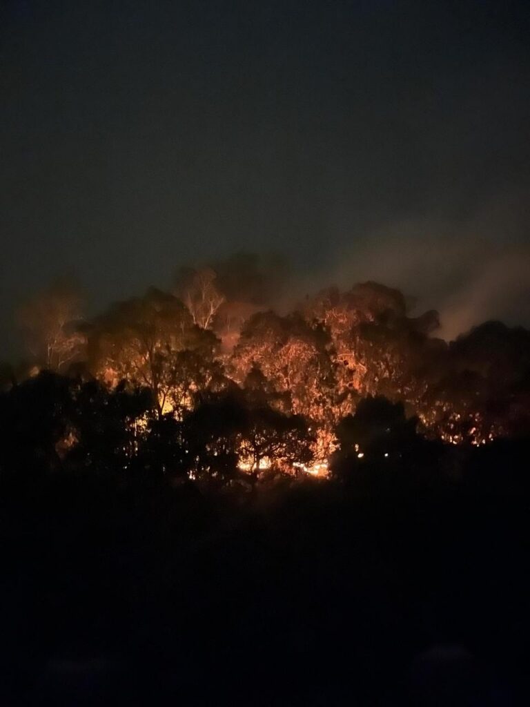 Lahan dan vegetasi yang terbakar dalam peristiwa kebakaran hutan dan lahan