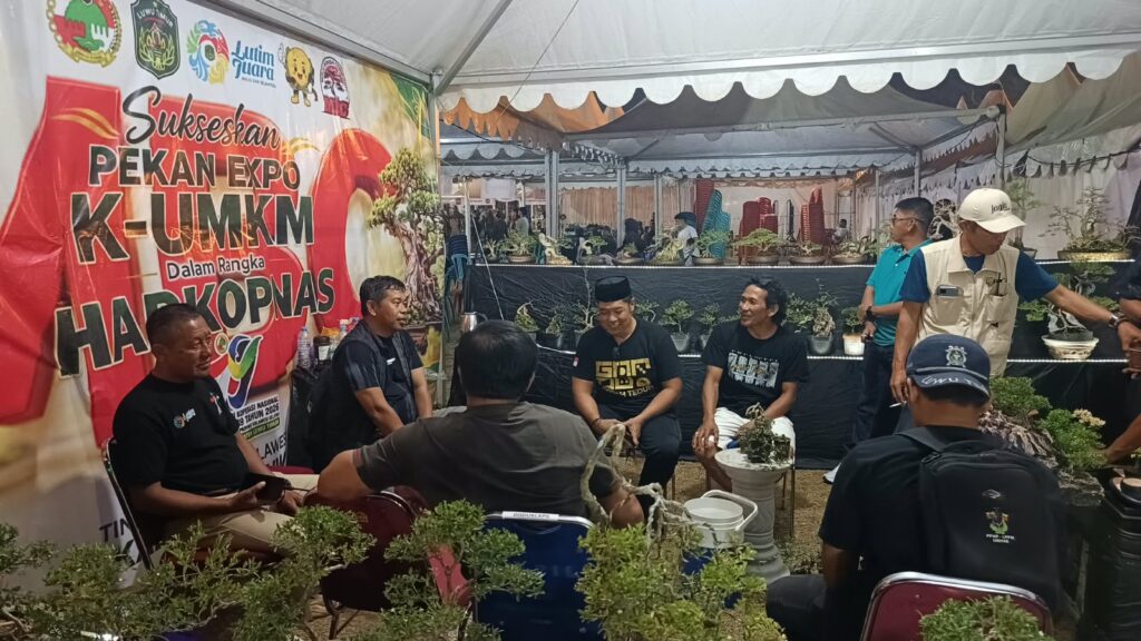 Karya bonsai Malili Bonsai Community dipamerkan di Harkopnas Sorowako, viral luwu timur