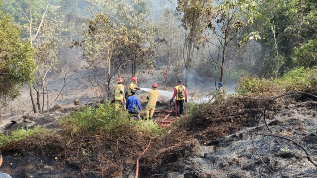 Viral Luwu Timur personel Damkar memadamkan karhutla Puncak Indah Malili pada hari ketiga