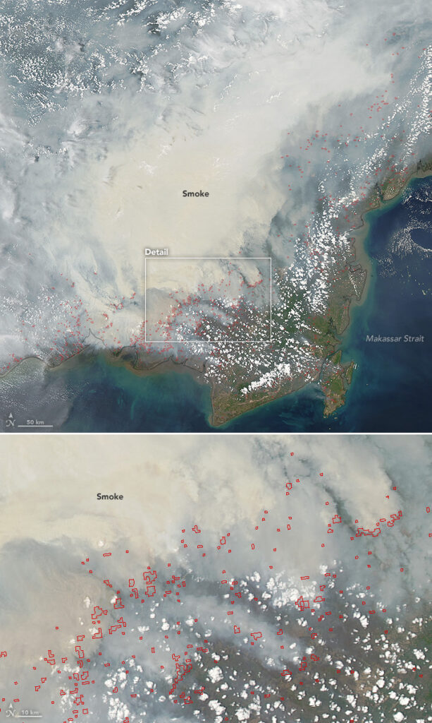 Kabut asap tebal menyelimuti Kalimantan dilihat dari citra satelit NASA
