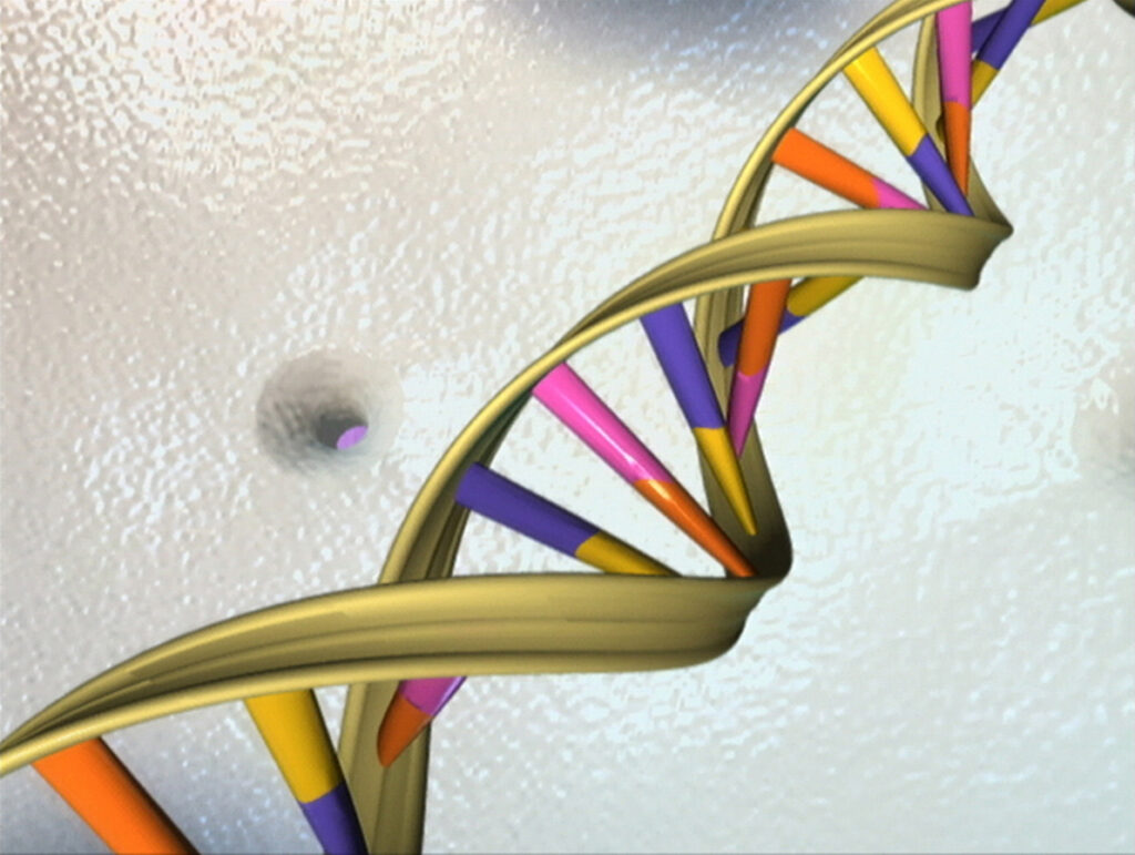 Ilustrasi struktur heliks ganda DNA